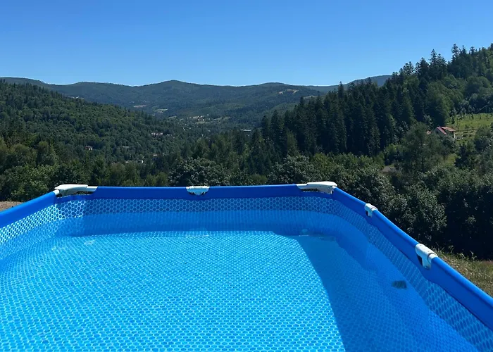 Spacerowa 33 Apartment